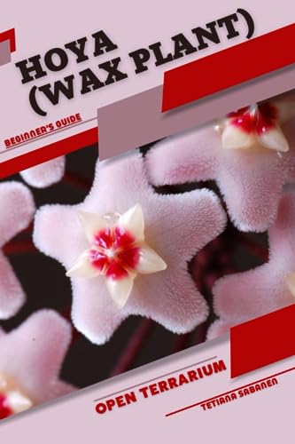 Sabanen - Hoya (Wax Plant)  Open terrarium, Beginner's Guide - New pap