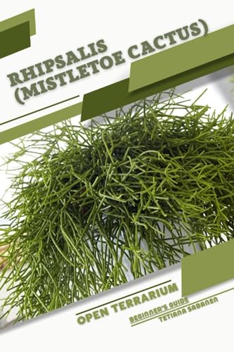 Sabanen - Rhipsalis  (Mistletoe Cactus)  Open terrarium, Beginner's Gu
