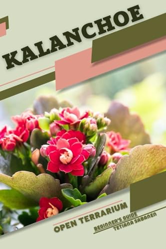 Sabanen - Kalanchoe   Open terrarium, Beginner's Guide - New paperback