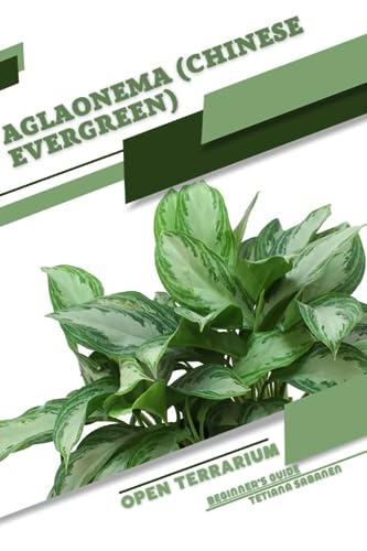 Sabanen - Aglaonema (Chinese Evergreen)  Open terrarium, Beginner's Gu