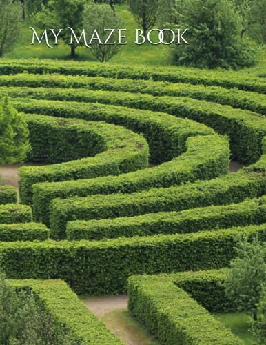 Banerj - My Maze Book - New paperback or softback