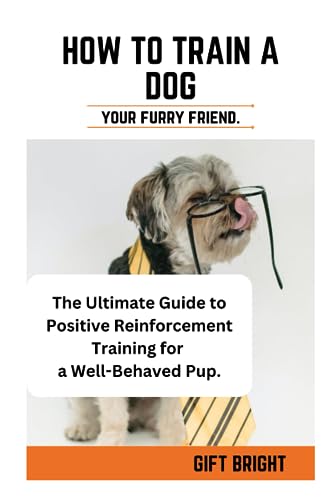 Bright - How to train a dog  How to. train a dog for beginners, kids m