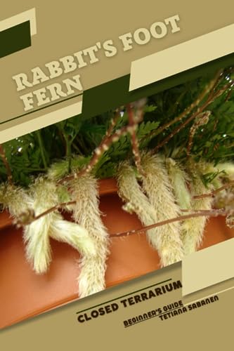 Sabanen - Rabbit's Foot Fern: Closed terrarium, Beginner's Guide - New