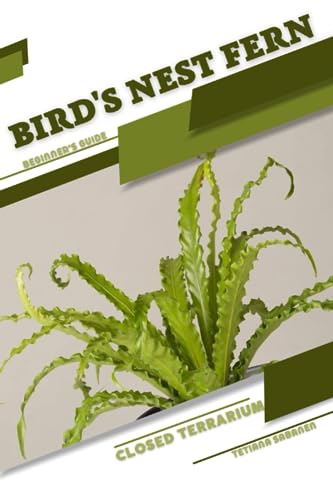 Sabanen - Bird's Nest Fern: Closed terrarium, Beginner's Guide - New p