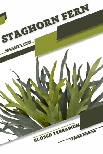 Sabanen - Staghorn Fern: Closed terrarium, Beginner's Guide - New pape