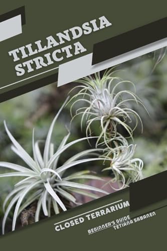 Sabanen - Tillandsia stricta  Closed terrarium, Beginner's Guide - New