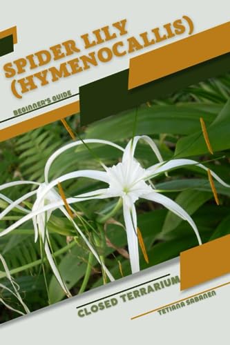 Sabanen - Spider Lily (Hymenocallis)  Closed terrarium, Beginner's Gui