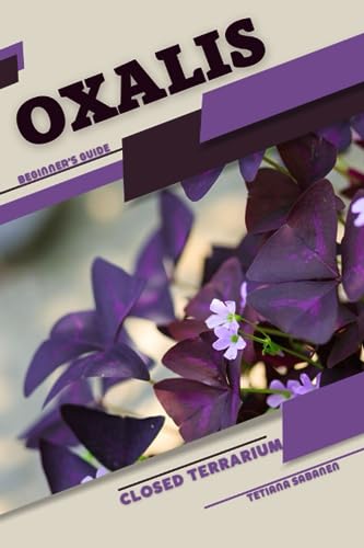 Sabanen - Oxalis  Closed terrarium, Beginner's Guide - New paperback o