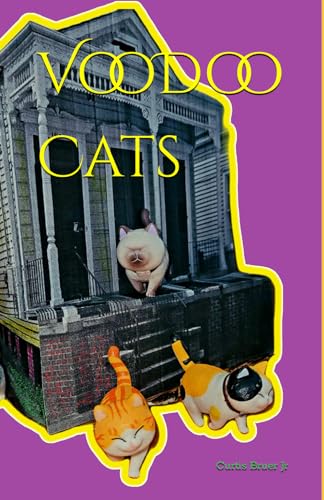 Bruer Jr - VooDoo Cats - New paperback or softback
