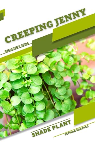 Sabanen - Creeping Jenny  Shade plant Beginner's Guide - New paperback