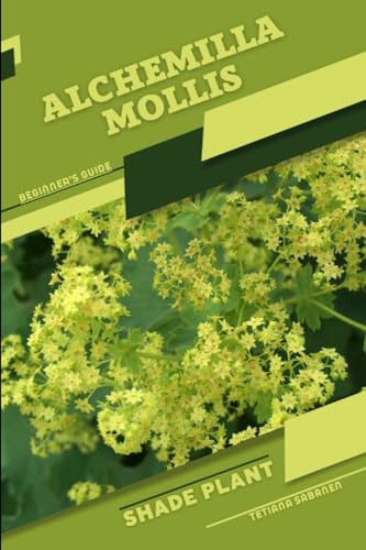 Sabanen - Alchemilla mollis  Shade plant Beginner's Guide - New paperb