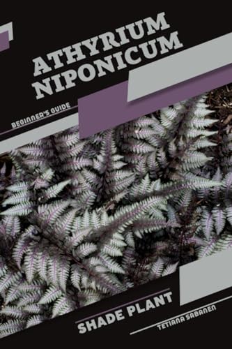 Sabanen - Athyrium niponicum  Shade plant Beginner's Guide - New paper