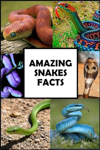 Bomb - Amazing Snakes Facts  Fun Facts about Snakes Guaranteed to Blow