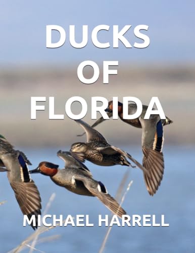 HARRELL - DUCKS OF FLORIDA - New paperback or softback
