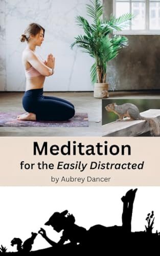Dancer - Meditation for the Easily Distracted - New paperback or softb