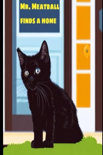 Jarzz - Mr. Meatball finds a home - New paperback or softback