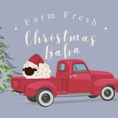 Ann - Christmas Baba: Seek & Find Little Baba Christmas Book For Babie