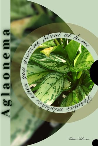 Sabanen - Aglaonema  Popular mistakes when you growing PLANT at home -