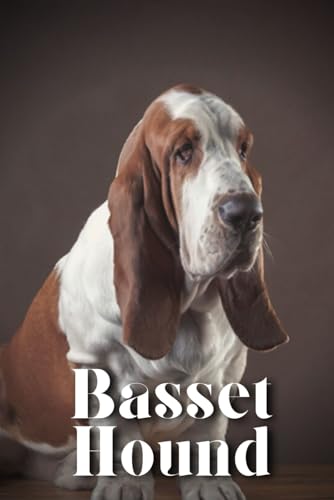 Pustova - Basset Hound  How to train your dog and raise from puppy cor
