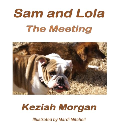 Morgan - Sam and Lola: The Meeting - New hardback or cased book