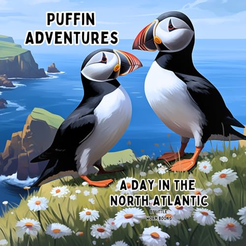 Books - Puffin Adventures  A Day in the North Atlantic - New paperback