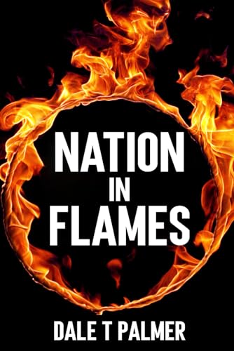 Palmer - Nation in Flames  A Thriller in the Web of Fires - New paperb