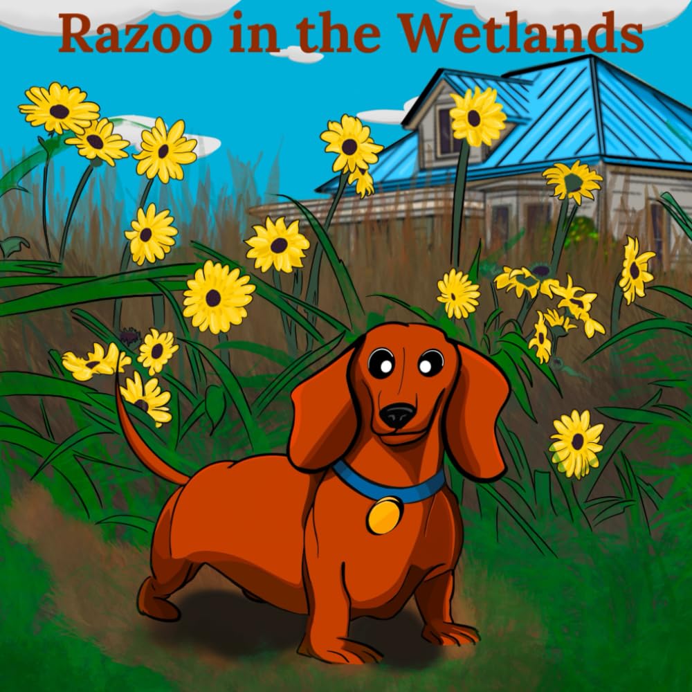 Garcia - Razoo in the Wetlands - New paperback or softback