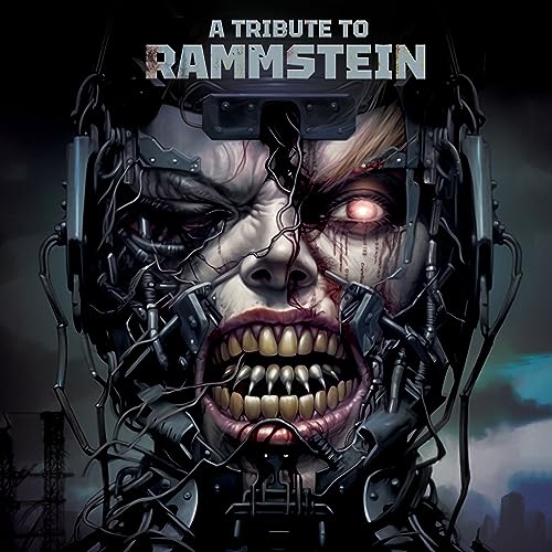 VARIOUS ARTISTS - A TRIBUTE TO RAMMSTEIN - Vinyl Record