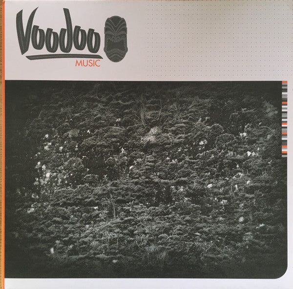 Raiden - Amnesia Haze / 8798 - New Vinyl Record 12"