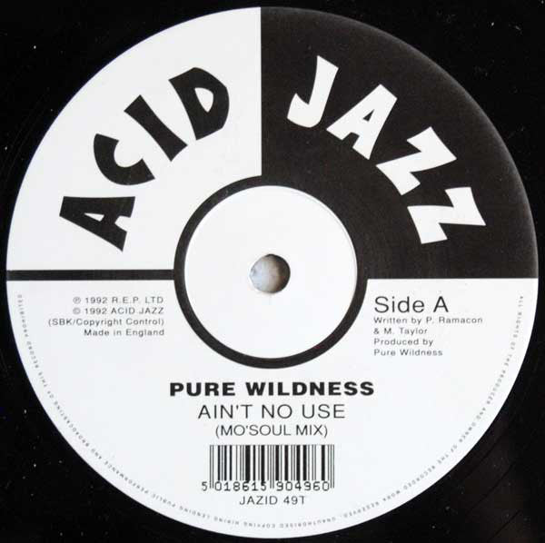 Pure Wildness - Ain't No Use - Used Vinyl Record 12"
