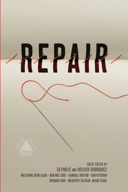 Ed Pavlic - Repair - Paperback