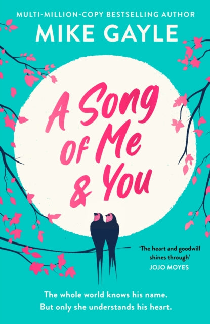 Mike Gayle - A Song of Me and You : everyone knows this rock star'