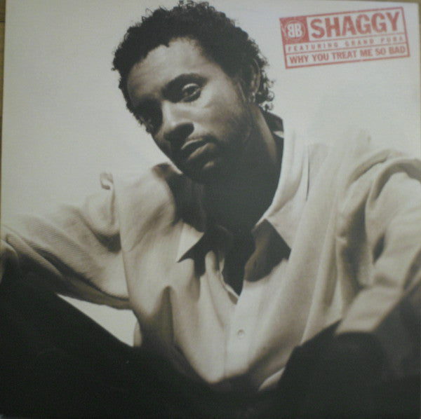 Shaggy - Why You Treat Me So Bad - Used Vinyl Record 12"