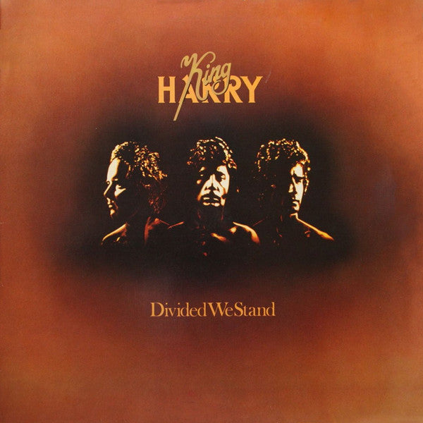 King Harry - Divided We Stand - Used Vinyl Record
