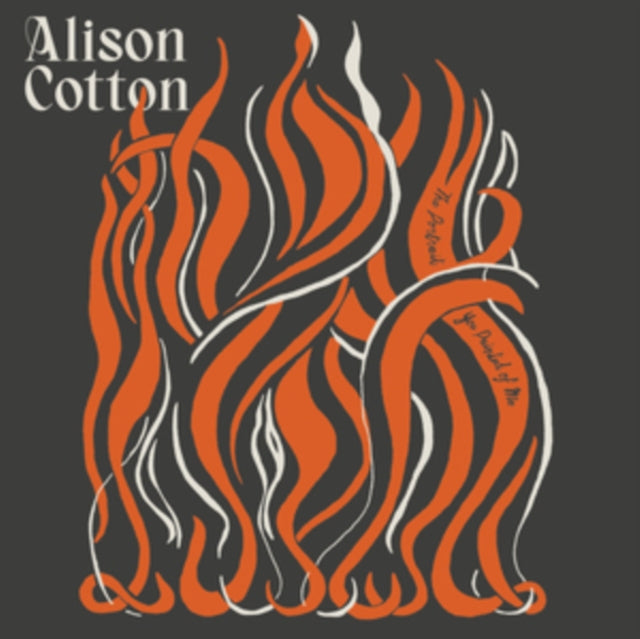 ALISON COTTON - PORTRAIT YOU PAINTED OF ME - Vinyl Record VL