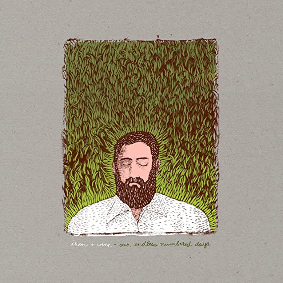 IRON & WINE - OUR ENDLESS NUMBERED DAYS - Vinyl Record 12" RECORD