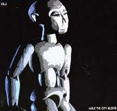 Kalli - While The City Sleeps - Used CD