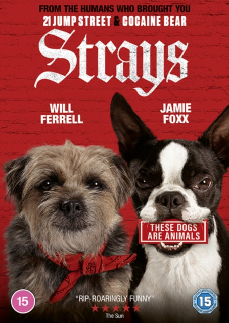 Strays - New DVD