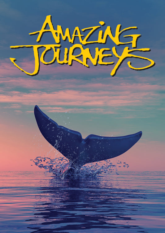 AMAZING JOURNEYS - New DVD