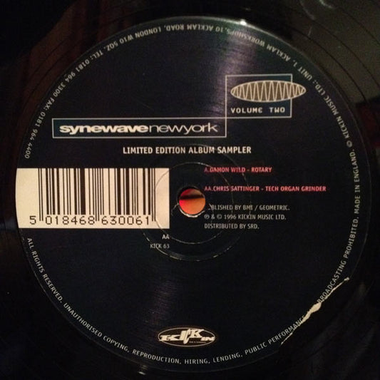Damon Wild - Synewave New York Volume Two - Used Vinyl Record 12"