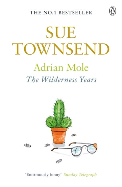 Sue Townsend - Adrian Mole: The Wilderness Years - Paperback