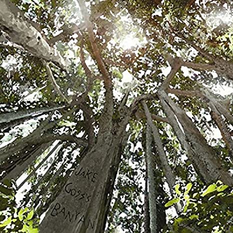GOSS'S JAKE/BANYAN - LOOKING UP - CD