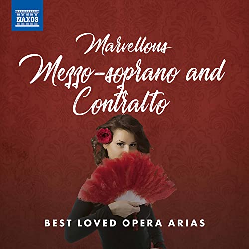 VARIOUS - BIZET ETC:MARVELLOUS MEZZO - cd
