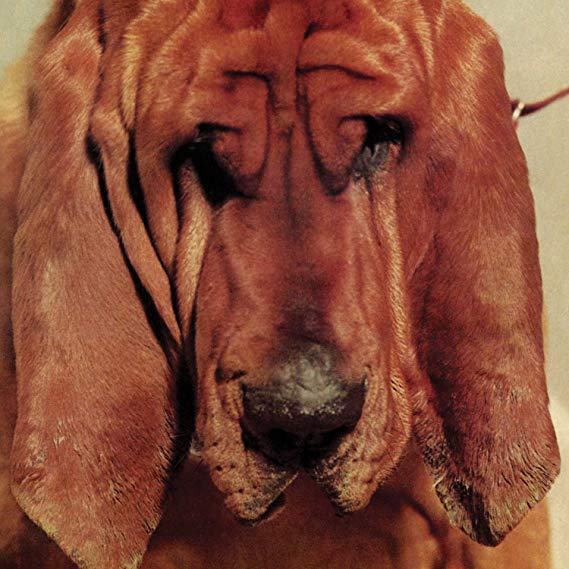 Ty Segall - Goodbye Bread - Vinyl Record