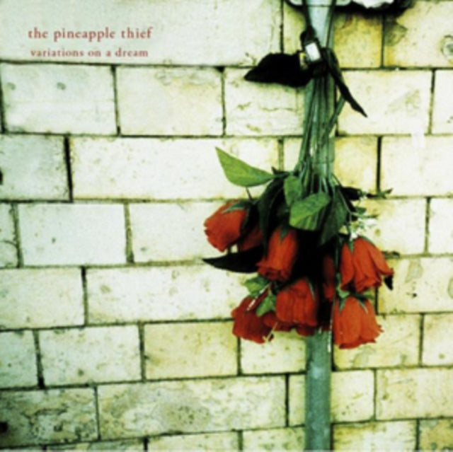 PINEAPPLE THIEF - Variations On A Dream - CD