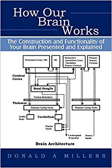 Donald Millers - How Our Brain Works : The Construction and Functional