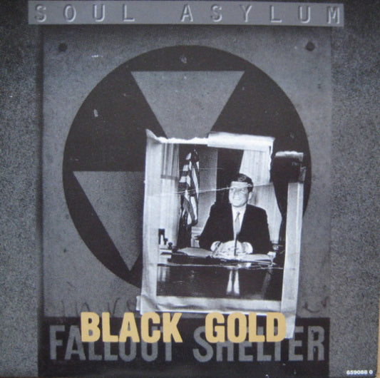Soul Asylum - Black Gold - Used Vinyl Record 10"