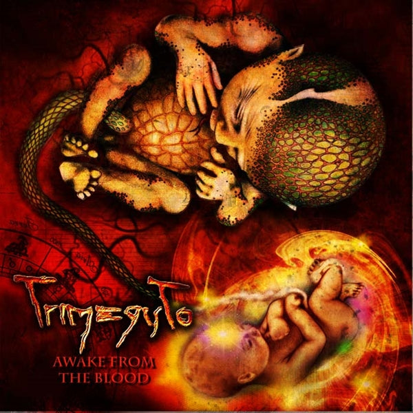TRIMEGISTO - AWAKE FROM BLOOD - CD