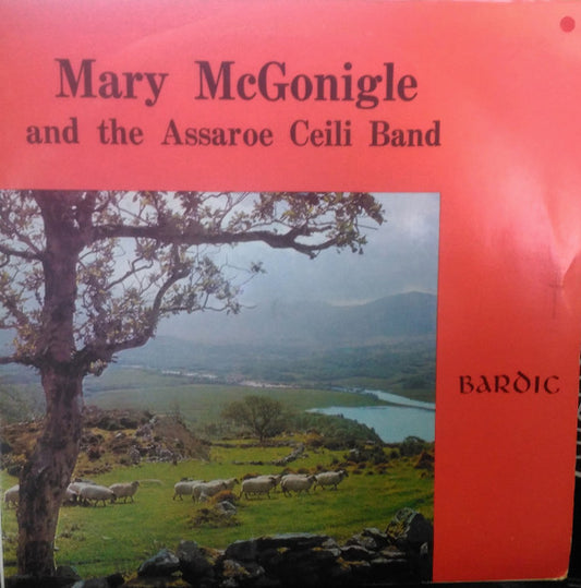 Mary McGonigl - And - Used Vinyl Record