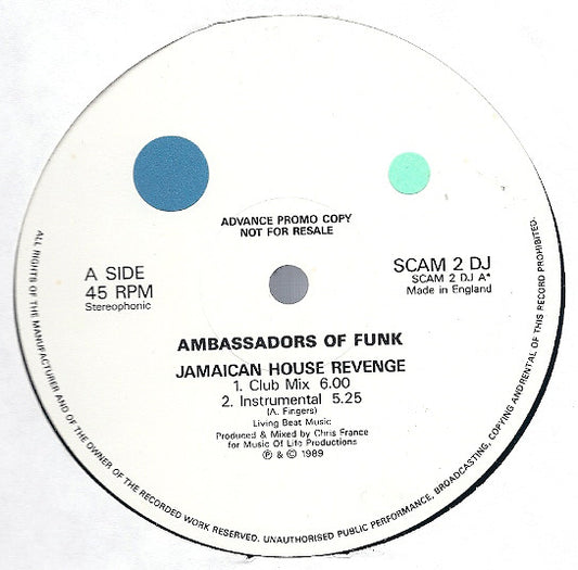 Ambassadors Of Funk - Jamaican House Revenge - Used Vinyl Rec